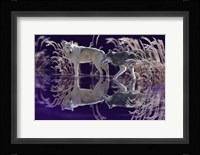 The Edge of Winter Fine Art Print