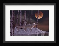 Once in a Super Blue Blood Moon Fine Art Print