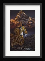 Cosmic Tiger Fine Art Print