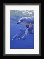 Dolphin Smile Fine Art Print