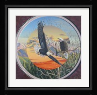 Eagles Fine Art Print