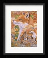 Foxes Fine Art Print