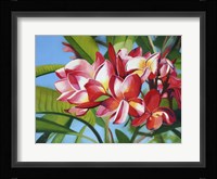 Frangipani Days Fine Art Print