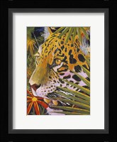 Jaguar Jungle Fine Art Print