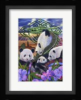 Panda Play Fine Art Print