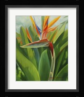 Paradise 2 Fine Art Print