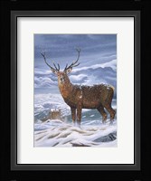 Royal Scot Fine Art Print