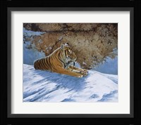 Snow Break Fine Art Print