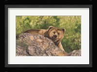 Surprised Fine Art Print