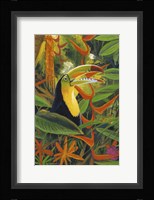 Toucan Colors Fine Art Print