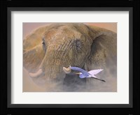 Young Matriarch Fine Art Print