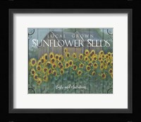 Sunflower Seeds Framed Print