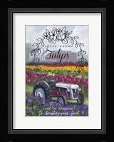 Tractoring Through The Tulips 1 Fine Art Print