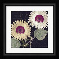 Midnight Sun I Framed Print