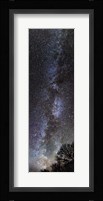 Backyard Milky Way Fine Art Print