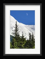 Bluebird Moon Fine Art Print
