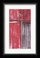 Boundaries Fine Art Print