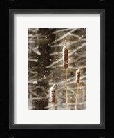 Catch My Drift Fine Art Print