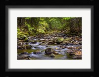 Chase Brook 2 Fine Art Print