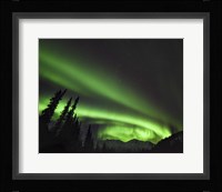 Circles Of Wonder Fine Art Print