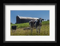 Dairy Farm Fine Art Print
