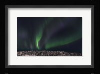 Dancing Ribbons Fine Art Print