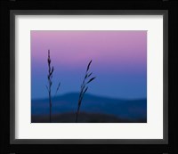 Dusk In A Field Fine Art Print
