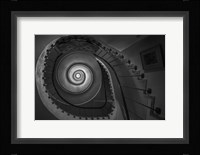 Finding Fibonacci Fine Art Print