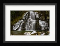 Frosty Moss Glen Falls Fine Art Print