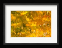 Glowing Waters Fine Art Print