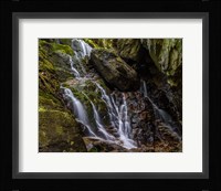 Hidden Falls Fine Art Print