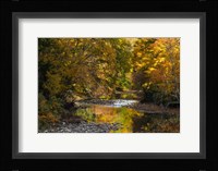 Meandering Colors Fine Art Print