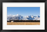 Mountainside Camp Fine Art Print