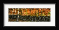 Old Rock Wall Fine Art Print