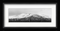 Snowscape Fine Art Print