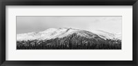 Snowscape Fine Art Print