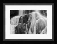 Sprayed Fine Art Print