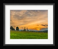 Summer Light Fine Art Print