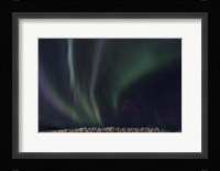 Swirls Of Wonder Fine Art Print