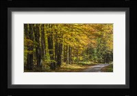 Take Me Home Fine Art Print