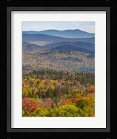 Vermont's Colors Fine Art Print