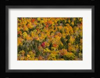 Vermont's Glory Fine Art Print