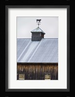 Weathervane Framed Print