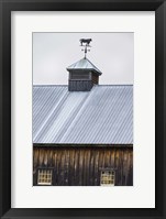 Weathervane Framed Print