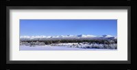 Winter Wilderness Fine Art Print