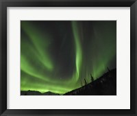 Winter's Night Sky Framed Print
