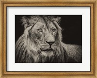 The Lion Sepia Fine Art Print