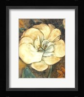 Cream Flower 2 Fine Art Print