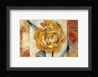 Golden Blossom 2 Fine Art Print
