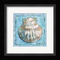 Shell 1 Fine Art Print